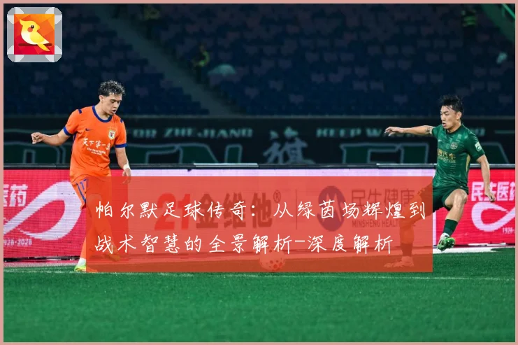 帕尔默足球传奇：从绿茵场辉煌到战术智慧的全景解析-深度解析