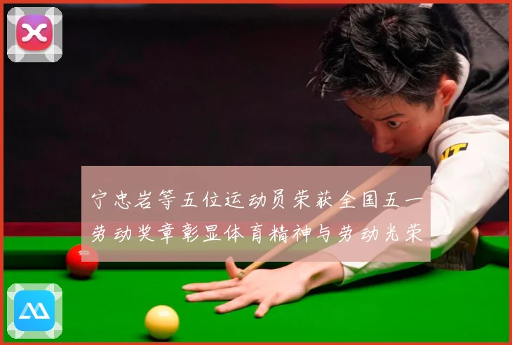 宁忠岩等五位运动员荣获全国五一劳动奖章彰显体育精神与劳动光荣成长观察-深度解析